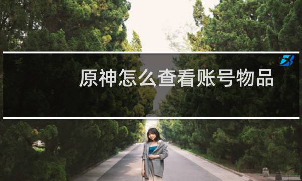 原神怎么查看账号物品