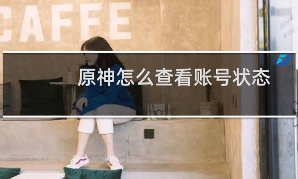 原神怎么查看账号状态