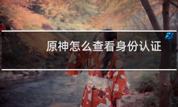 原神怎么查看身份认证