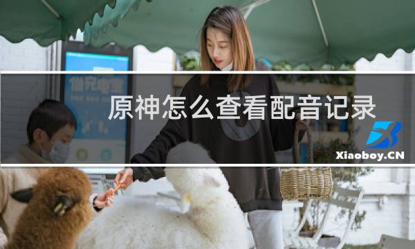 原神怎么查看配音记录