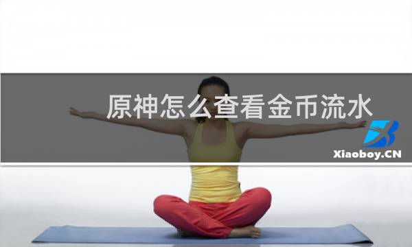 原神怎么查看金币流水