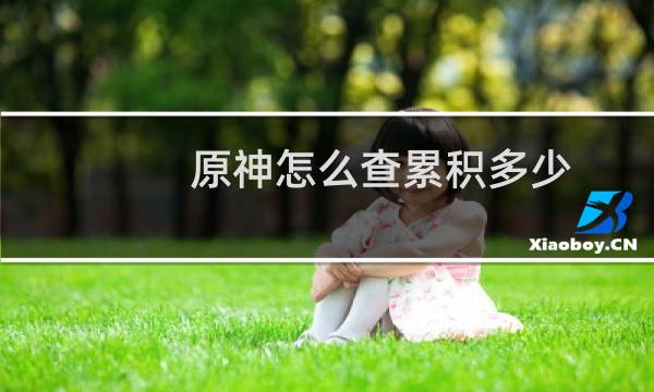 原神怎么查累积多少