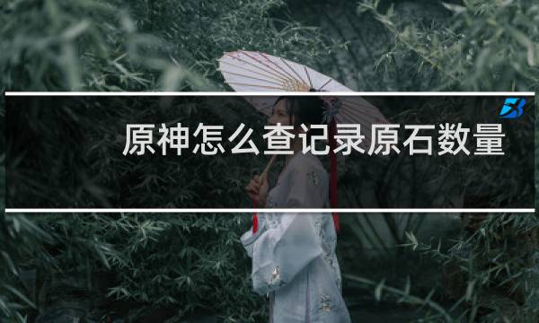 原神怎么查记录原石数量