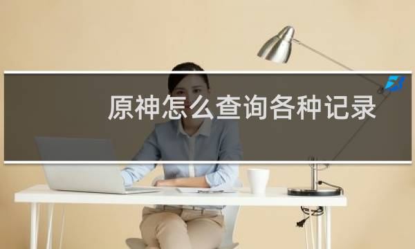 原神怎么查询各种记录