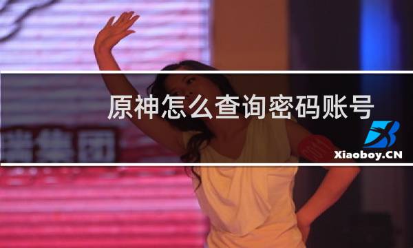原神怎么查询密码账号