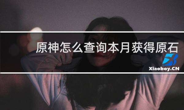 原神怎么查询本月获得原石
