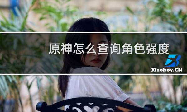 原神怎么查询角色强度