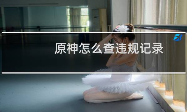 原神怎么查违规记录