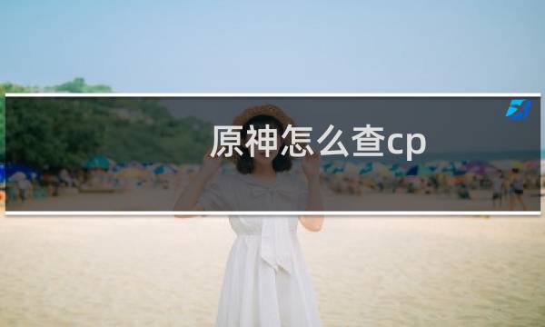 原神怎么查cp