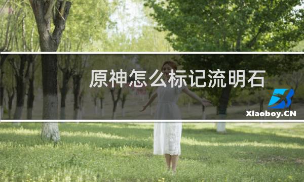 原神怎么标记流明石