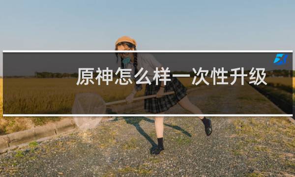 原神怎么样一次性升级