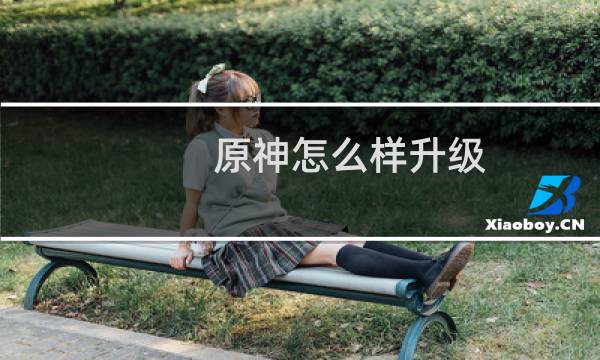 原神怎么样升级