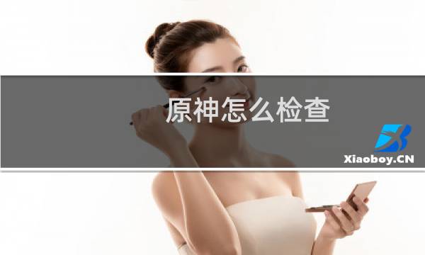 原神怎么检查