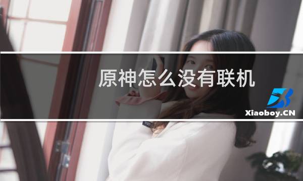 原神怎么没有联机