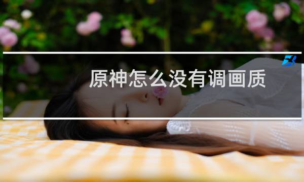 原神怎么没有调画质
