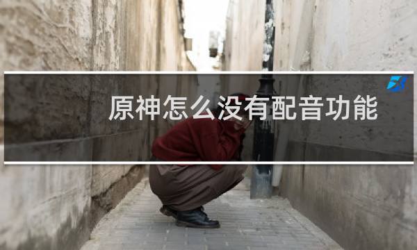 原神怎么没有配音功能
