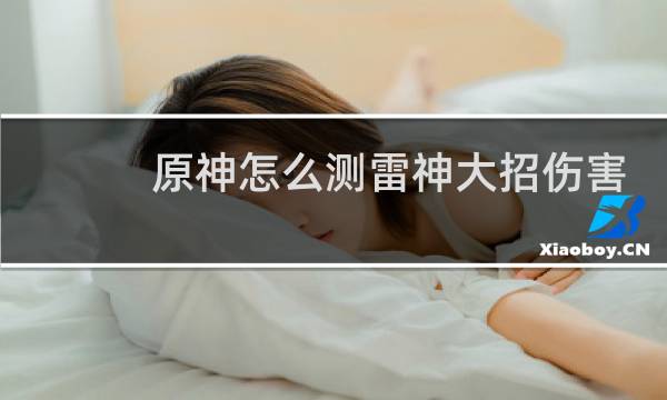 原神怎么测雷神大招伤害
