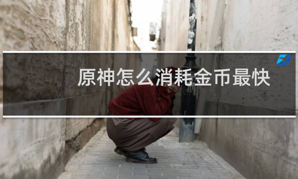 原神怎么消耗金币最快