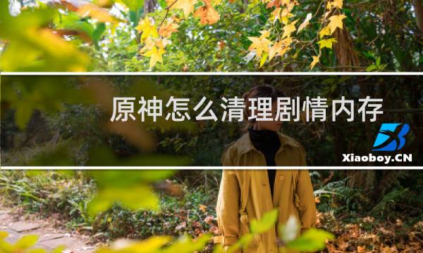 原神怎么清理剧情内存