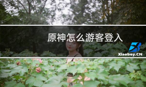 原神怎么游客登入