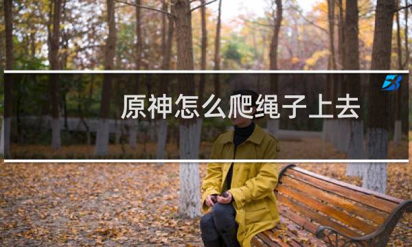 原神怎么爬绳子上去