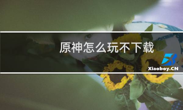 原神怎么玩不下载