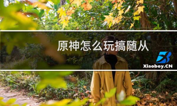 原神怎么玩搞随从