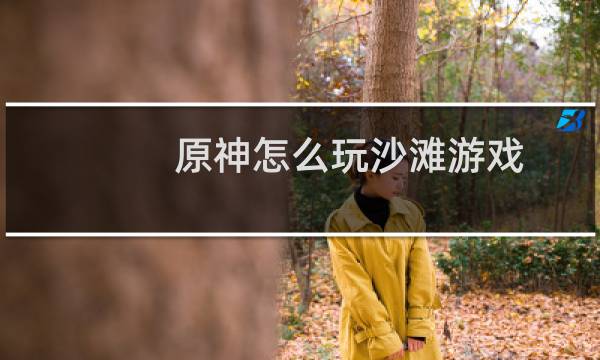 原神怎么玩沙滩游戏