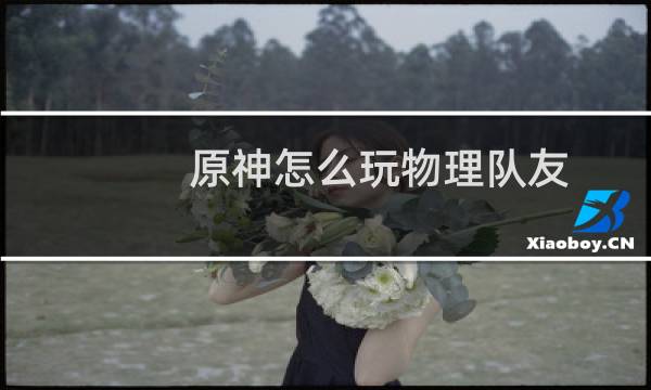 原神怎么玩物理队友