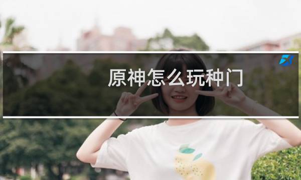原神怎么玩种门