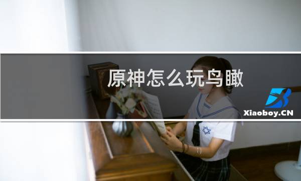 原神怎么玩鸟瞰