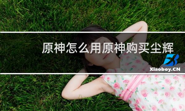 原神怎么用原神购买尘辉