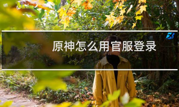 原神怎么用官服登录