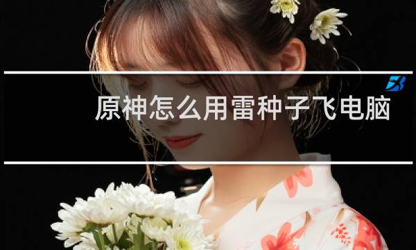 原神怎么用雷种子飞电脑