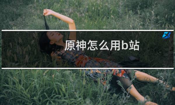 原神怎么用b站