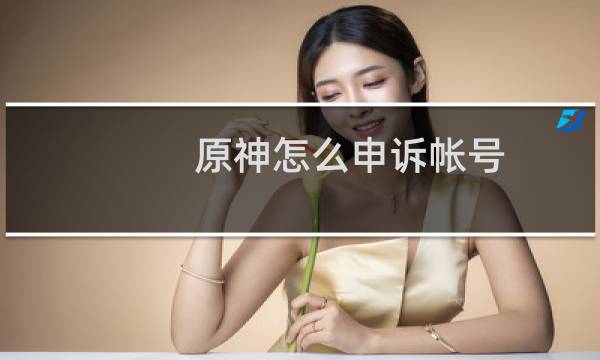 原神怎么申诉帐号