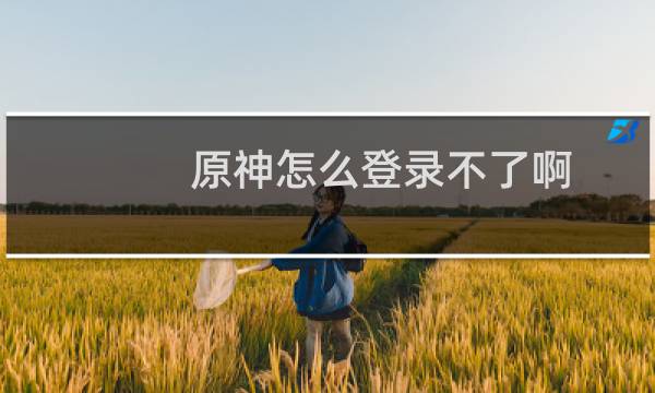 原神怎么登录不了啊