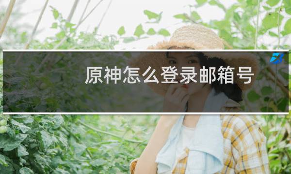 原神怎么登录邮箱号