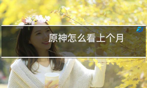 原神怎么看上个月