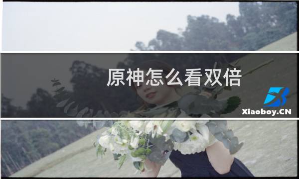 原神怎么看双倍