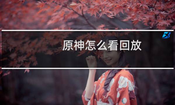 原神怎么看回放