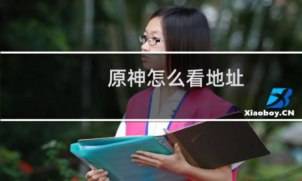 原神怎么看地址