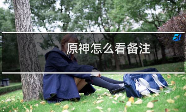 原神怎么看备注