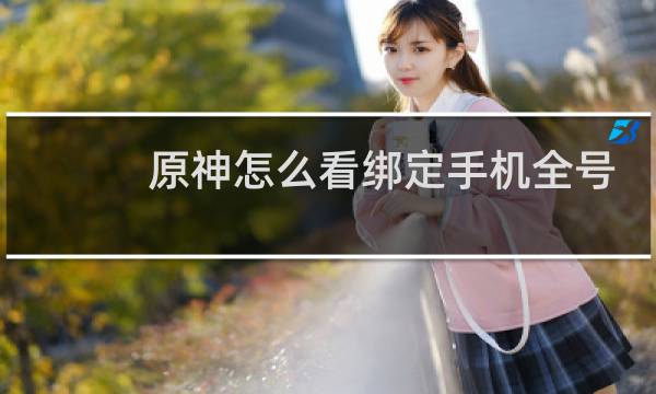 原神怎么看绑定手机全号
