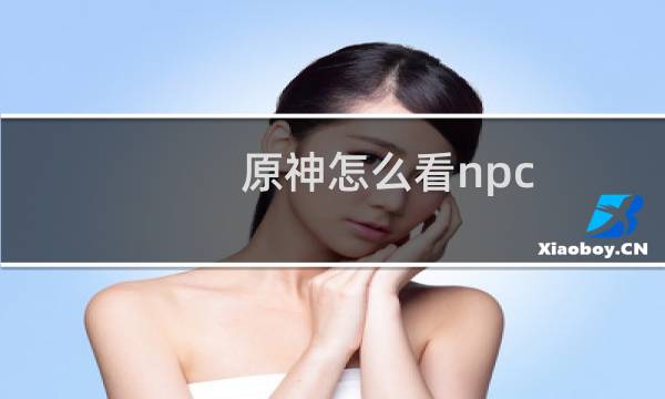 原神怎么看npc