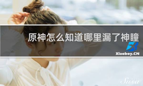 原神怎么知道哪里漏了神瞳