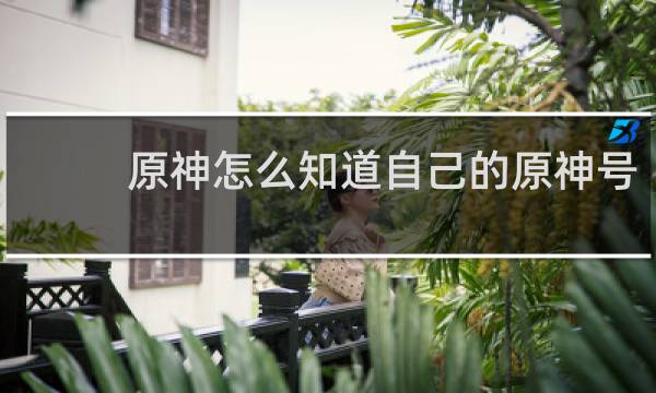 原神怎么知道自己的原神号