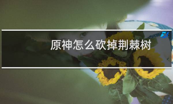 原神怎么砍掉荆棘树