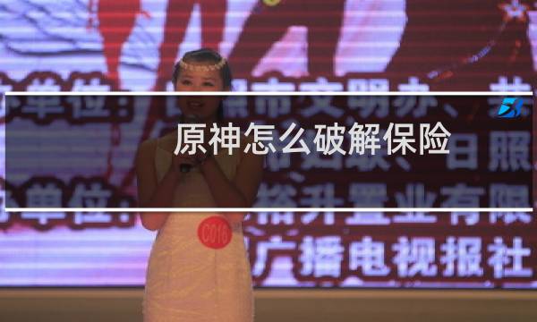 原神怎么破解保险