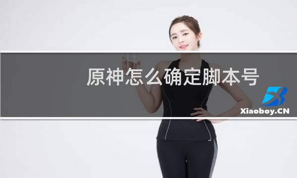原神怎么确定脚本号